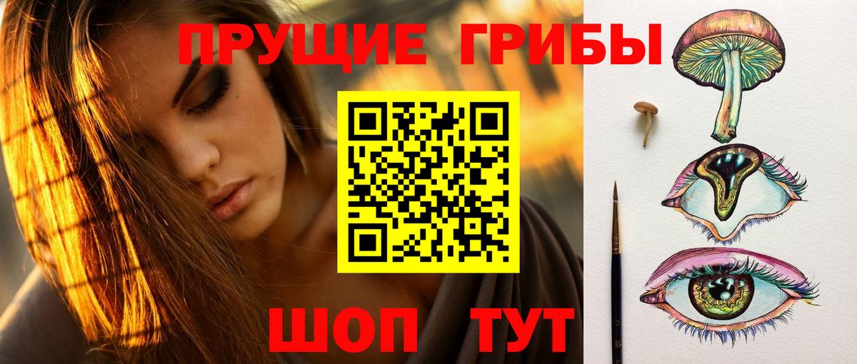 Галлюциногенные грибы GOLDEN TEACHER Пушкино