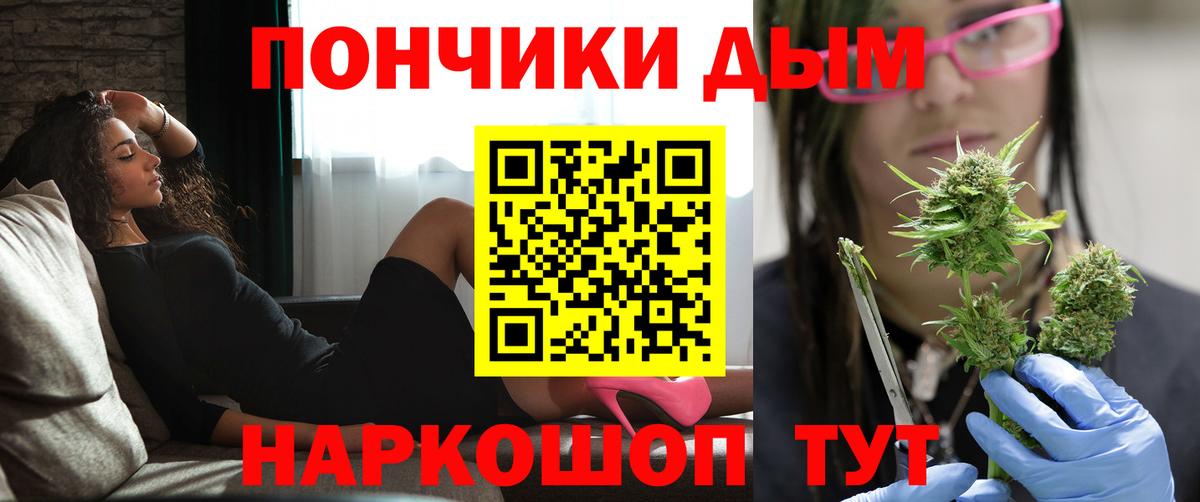 Бошки марихуана сатива  МАРИХУАНА SATIVA & INDICA  Вход с VPN  МАРИХУАНА VHQ  Канабис сатива  Пушкино 